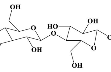 Is cellulose a type of polymer?