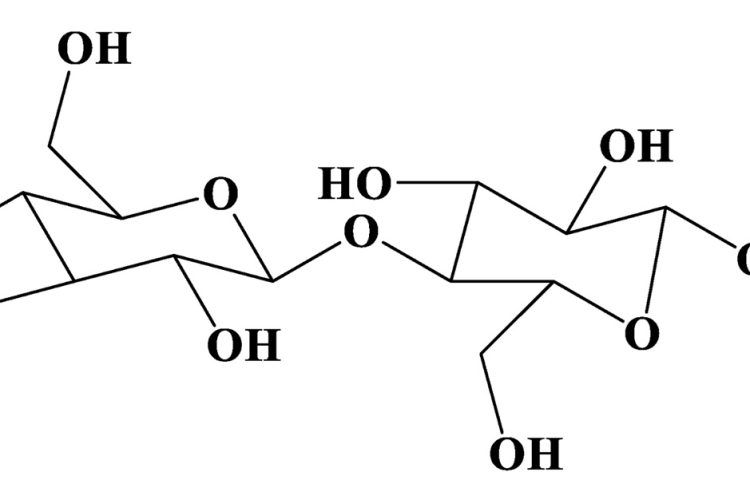 Is cellulose a type of polymer?